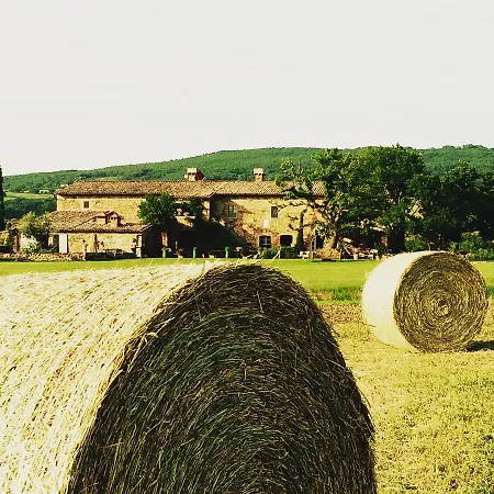 Курортный комплекс Dimora Buonriposo Pienza Country House *